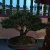 Chun Goh - @chun.goh - TikTok