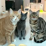 청설향입니다. - @chungseolhyang - Instagram