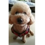 Chunlan Jin - @chunlan.jin.77 - Instagram