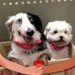 Chunlan Wang - Facebook