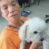 Wangchunlan - @wangchunlan3 - TikTok