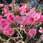 Linda Yang - @chunlin.yang.16 - Instagram