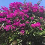 Chunyu Lu - @chunyu.lyu - Instagram