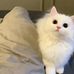 Chunyu Lu - Facebook