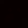 캉은 태권도를 배운다. - @buichuoiiiii - TikTok