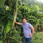 Chuoi Bui - @chuoibui - Instagram