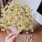 Chương Hoàng - @_chuong_hoang_ - Instagram
