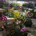 Chuong Le - Facebook