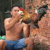 Chương phạm - @chuong_pham1997 - TikTok