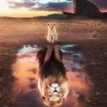 Chương Phong - @chuong_phong - Instagram