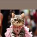 Sharon James - Facebook