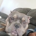 Chynamosleyhimgf - @wifeyhusbandforever1718 - Instagram