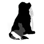 Chyna Russell - @slobberchops_pet_services - Instagram