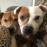 Chyna Taylor - @chyna.taylor.3998 - Instagram