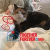 cherylmccrary2 - @cherylmccrary2 - TikTok