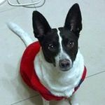 Chyuan Lee - @leechyuan - Instagram