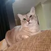 CiLee - @azizie.mohd.yusof - TikTok