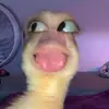 Leony - @cilee - TikTok