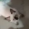 hnery - @henrycia0 - TikTok