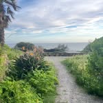 Cia - @cia.johnson1 - Instagram