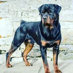 cian barrett - @cian_barrett05 - Instagram