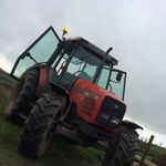 Cian Brady - @cian.brady - Instagram