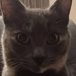 Cian Cooper - @cooper.cian - Instagram