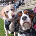 Cian Cox - @coxcian - Instagram