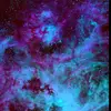 Cian Cox - @ttv_lil_nxghtmaretv - TikTok