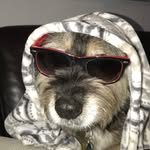 Cian Doherty - @cian.d123 - Instagram