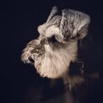 Cian Evans - @sir_haruboi - Instagram