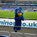 Cian Evans - @cianevs2407 - Instagram