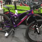 Cian Evans - @cian330 - Instagram