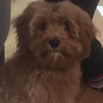 Cian Evans - @cian8910 - Instagram