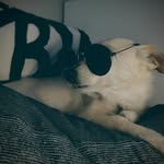Cian Evans - @haruyohi_boi - Instagram