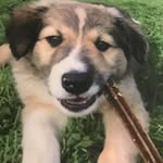Cian_farrell - @cian_farrell69 - Instagram