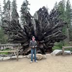 Cian Gilbert - Facebook
