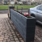 Cian Gregory - Facebook