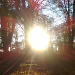 Cian Henry - @traversing_the_mind - Instagram