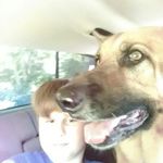cian justis holmes - @cianjustis - Instagram