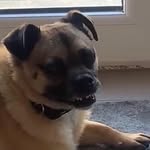 Cian_Malo123 - @cian.malone.712 - Instagram