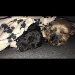 Cian McCarthy - Facebook