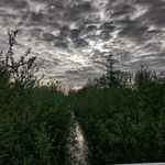 Cian Power - @cianpower23 - Instagram