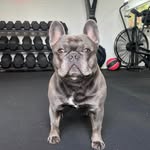 Ciara Boyd - @ciara_mb1 - Instagram
