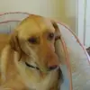 ciaraboyd121 - @ciaraboyd121 - TikTok
