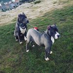 Ciara Cullen - @rhys_kane1324_ - Instagram