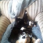 Ciara Mae cullen - @ciara_cullen243 - Instagram