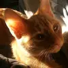 Ciara Dalton - @shit.life999 - TikTok
