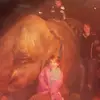 ciara.dolann - @ciara.dolann - TikTok
