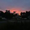 Ciara Duffy - @ciara.duffy3 - TikTok